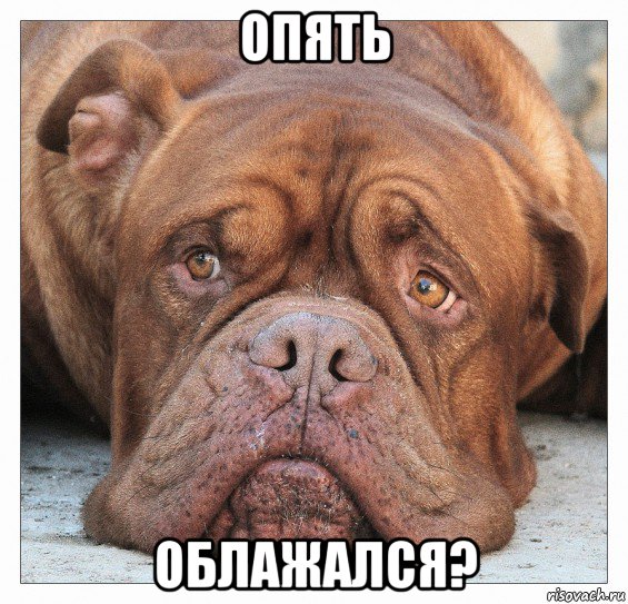 опять облажался?