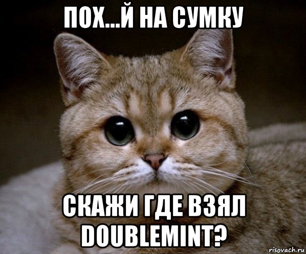 пох...й на сумку скажи где взял doublemint?, Мем Пидрила Ебаная