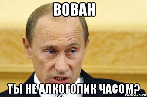 вован ты не алкоголик часом?, Мем путин