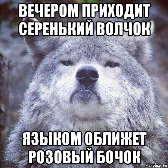 Бочок волчок и укусит придет. Серенький волчок. Волчок укусит за бачок. Волчок укусит за бочок Мем. Волчок Мем.