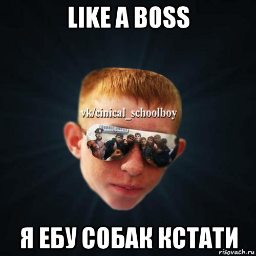 like a boss я ебу собак кстати, Мем Школяр Толян