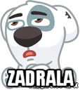  zadrala