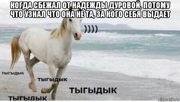 когда сбежал от надежды дуровой, потому что узнал что она не та, за кого себя выдает 