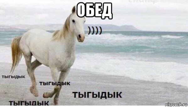 обед 