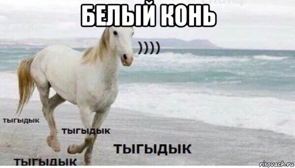 белый конь , Мем   Тыгыдык