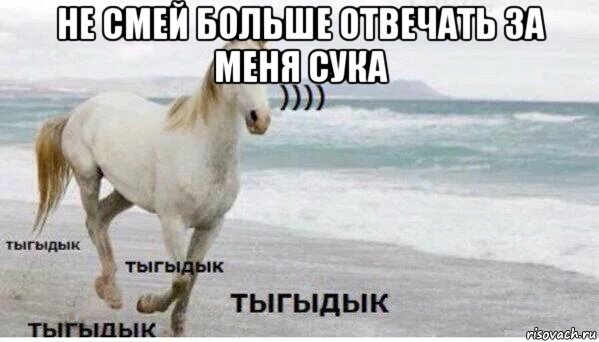 не смей больше отвечать за меня сука , Мем   Тыгыдык