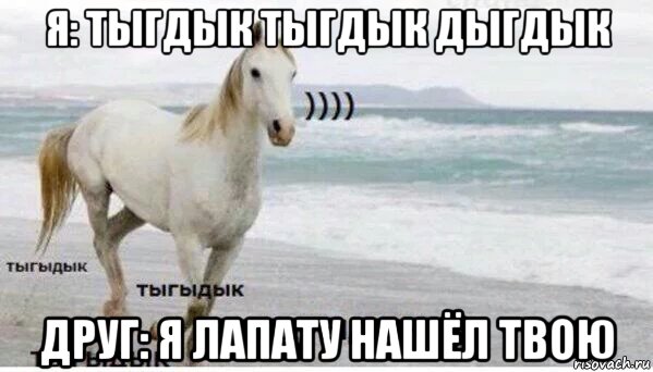 я: тыгдык тыгдык дыгдык друг: я лапату нашёл твою, Мем   Тыгыдык