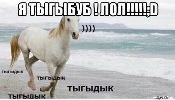 я тыгыбуб ! лол!!!!!;d 