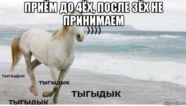 приём до 4ёх, после 3ёх не принимаем , Мем   Тыгыдык