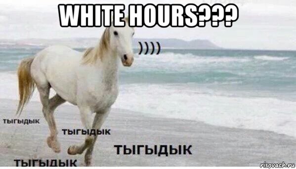 white hours??? , Мем   Тыгыдык