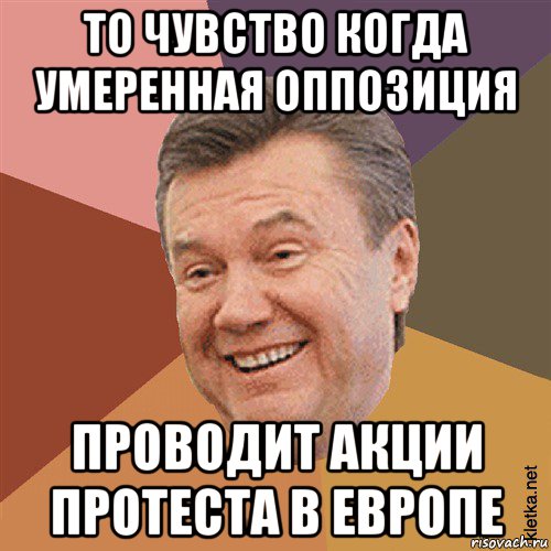 то чувство когда умеренная оппозиция проводит акции протеста в европе, Мем Типовий Яник