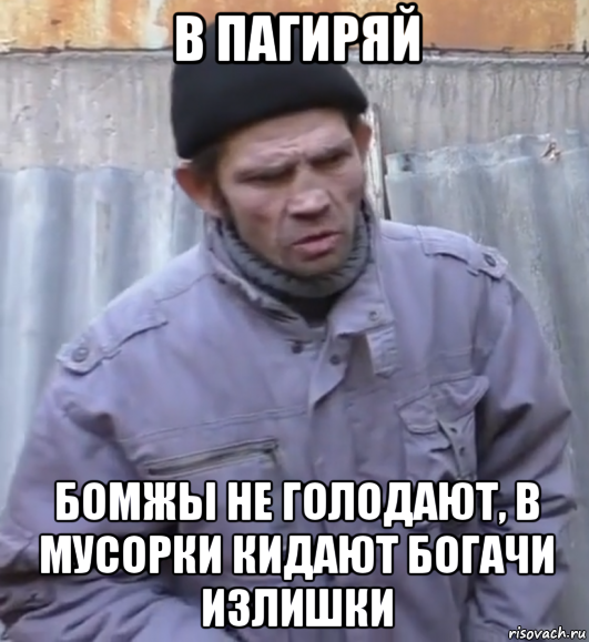 в пагиряй бомжы не голодают, в мусорки кидают богачи излишки, Мем  Ты втираешь мне какую то дичь