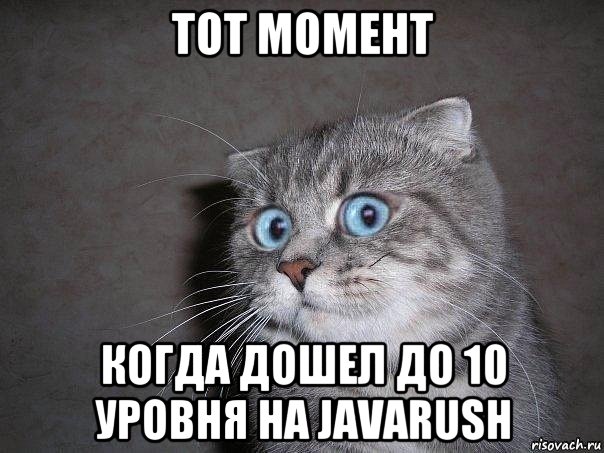 тот момент когда дошел до 10 уровня на javarush, Мем  удивлённый кот