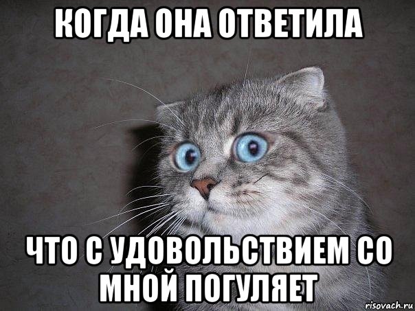 когда она ответила что с удовольствием со мной погуляет, Мем  удивлённый кот