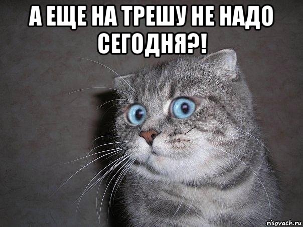 а еще на трешу не надо сегодня?! , Мем  удивлённый кот