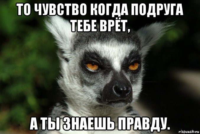 то чувство когда подруга тебе врёт, а ты знаешь правду., Мем   Я збагоен