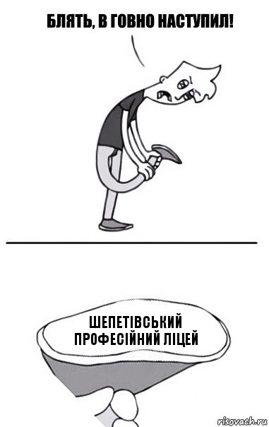 Шепетівський професійний ліцей, Комикс В говно наступил