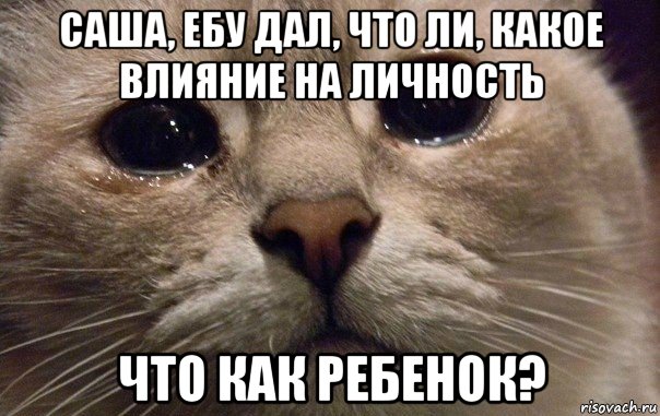 саша, ебу дал, что ли, какое влияние на личность что как ребенок?, Мем   В мире грустит один котик