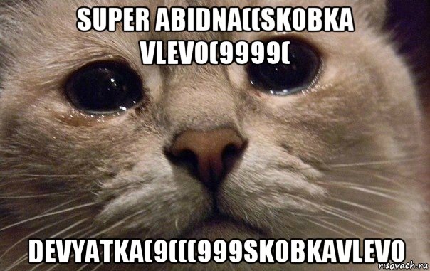 super abidna((skobka vlevo(9999( devyatka(9(((999skobkavlevo, Мем   В мире грустит один котик