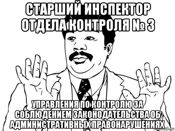 Правонарушение мемы. Административка мемы. Вопросов не имею Мем. Претензий не имею Мем.