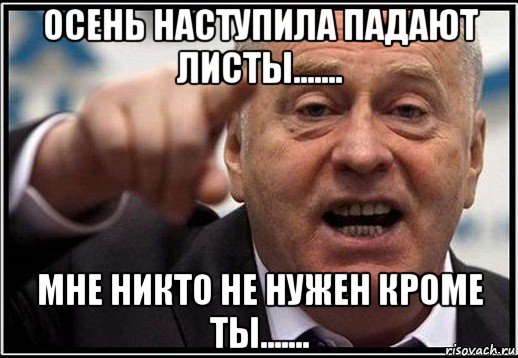 осень наступила падают листы....... мне никто не нужен кроме ты......., Мем жириновский ты