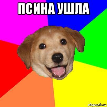 псина ушла , Мем Advice Dog