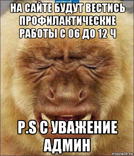 на сайте будут вестись профилактические работы с 06 до 12 ч p.s с уважение админ, Мем бибизяна