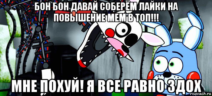 Когда выйдет бон