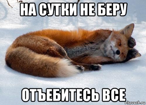 на сутки не беру отъебитесь все