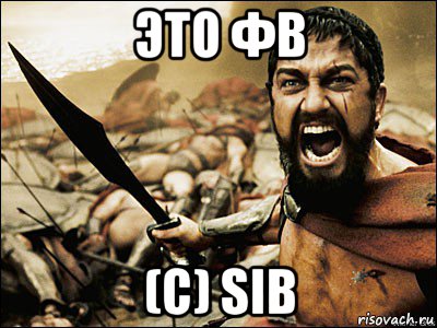 это фв (с) sib, Мем Это Спарта