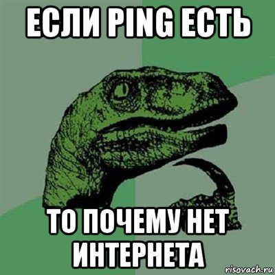 если ping есть то почему нет интернета, Мем Филосораптор