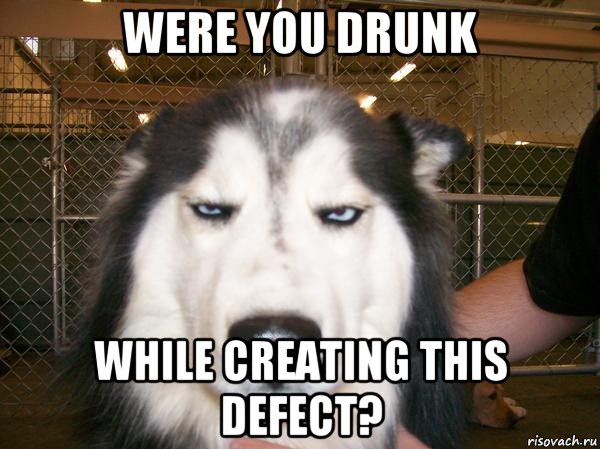 were you drunk while creating this defect?, Мем фы