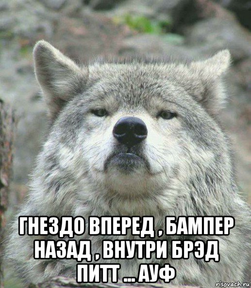  гнездо вперед , бампер назад , внутри брэд питт ... ауф, Мем    Гордый волк