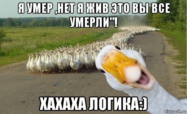 я умер ,нет я жив это вы все умерли"! хахаха логика:), Мем гуси