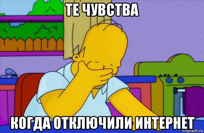 те чувства когда отключили интернет, Мем Homer simpson facepalm