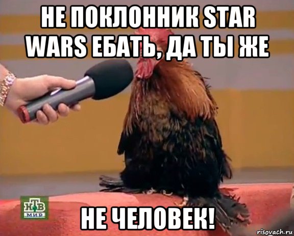 не поклонник star wars ебать, да ты же не человек!, Мем Интервью с петухом