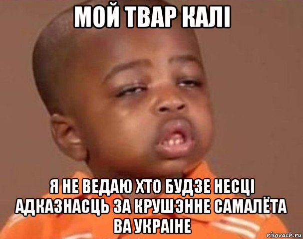 мой твар калі я не ведаю хто будзе несці адказнасць за крушэнне самалёта ва украіне, Мем  Какой пацан (негритенок)