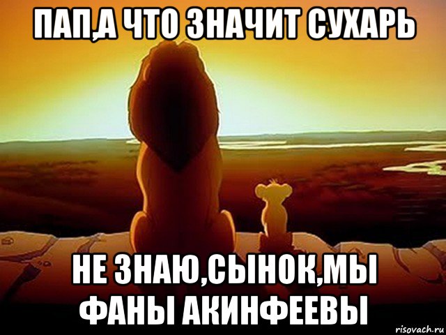 пап,а что значит сухарь не знаю,сынок,мы фаны акинфеевы, Мем  король лев