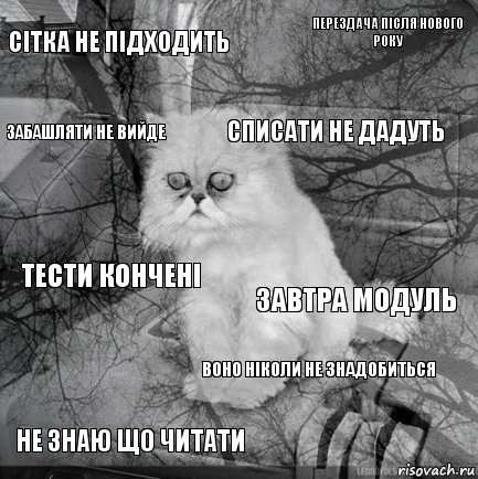 сітка не підходить завтра модуль списати не дадуть не знаю що читати тести кончені перездача після нового року воно ніколи не знадобиться забашляти не вийде  , Комикс  кот безысходность