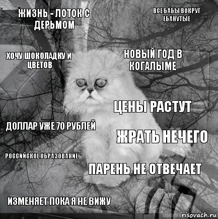 жизнь - лоток с дерьмом жрать нечего новый год в Когалыме изменяет пока я не вижу доллар уже 70 рублей все бабы вокруг ебанутые парень не отвечает хочу шоколадку и цветов российское образование цены растут, Комикс  кот безысходность