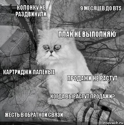 колонку не раздвинули продажи не растут план не выполняю жесть в обратной связи картриджи палёные 9 месяцев до BTS Когда вырастут продажи?   , Комикс  кот безысходность