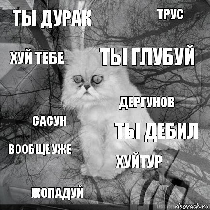 Ты дурак Ты дебил Ты глубуй Жопадуй Сасун Трус Хуйтур Хуй тебе Вообще уже Дергунов, Комикс  кот безысходность