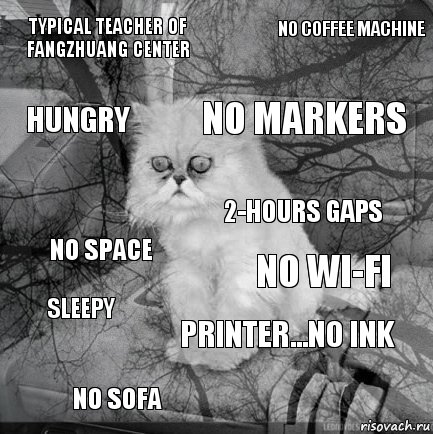 Typical teacher of fangzhuang center No wi-fi no markers no sofa No space No coffee machine printer...no ink hungry sleepy 2-hours gaps, Комикс  кот безысходность