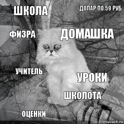 школа уроки домашка оценки учитель долар по 59 руб школота физра  , Комикс  кот безысходность