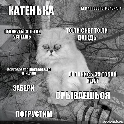 Катенька Оглянись за тобой идёт То ли снег то ли дождь Погрустим Все говорят с людьми, а я с птицами Ты маяковского забрала срываешься Оглянуться ты не успеешь Забери , Комикс  кот безысходность