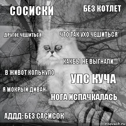 сосиски упс куча что так ухо чешиться аддд: без сасисок в живот кольнуло без котлет нога испачкалась другое чешиться я мокрый диван какбы не выгнали, Комикс  кот безысходность