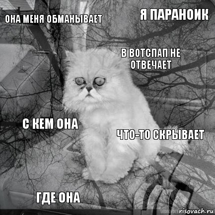 Она меня обманывает Что-то скрывает В вотспап не отвечает Где она С кем она Я параноик    , Комикс  кот безысходность