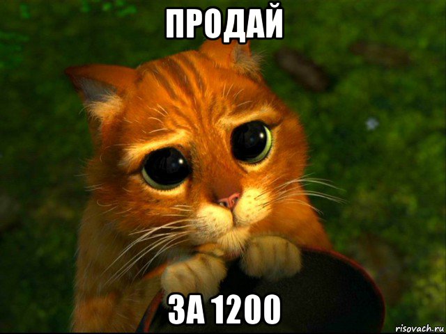 продай за 1200, Мем кот из шрека