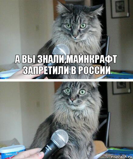 а вы знали,майнкрафт запретили в России , Комикс  кот с микрофоном