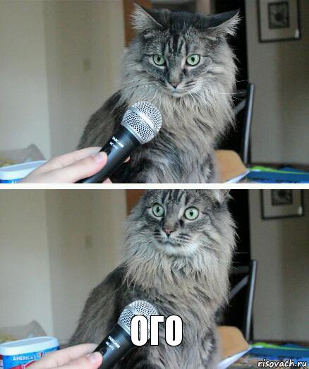  Ого, Комикс  кот с микрофоном